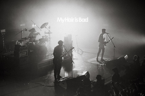 My Hair is Bad - My Hair is Bad presents「ファイヤーホームランツアー」 の公式チケットリセール（二次流通）情報