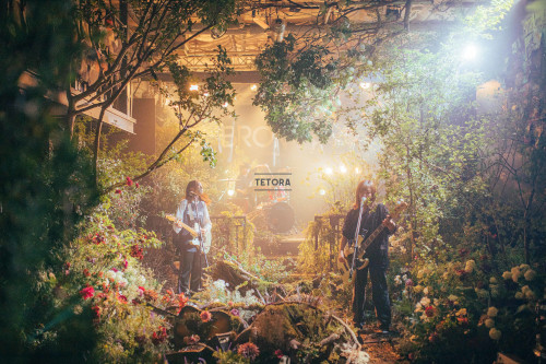 TETORA - TETORA 2nd full album“me me”release tour「贅沢病ツアー」アンコールツアー編 の公式チケットリセール（二次流通）情報