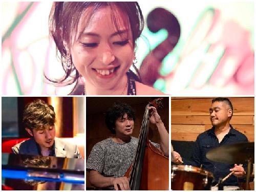 �k��A�L �J���e�b�g @�ԍ�Tonalite